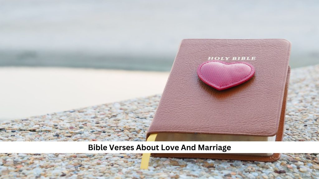 Bible with red heart symbol, highlighting verses on love and marriage, placed on a textured surface near water.