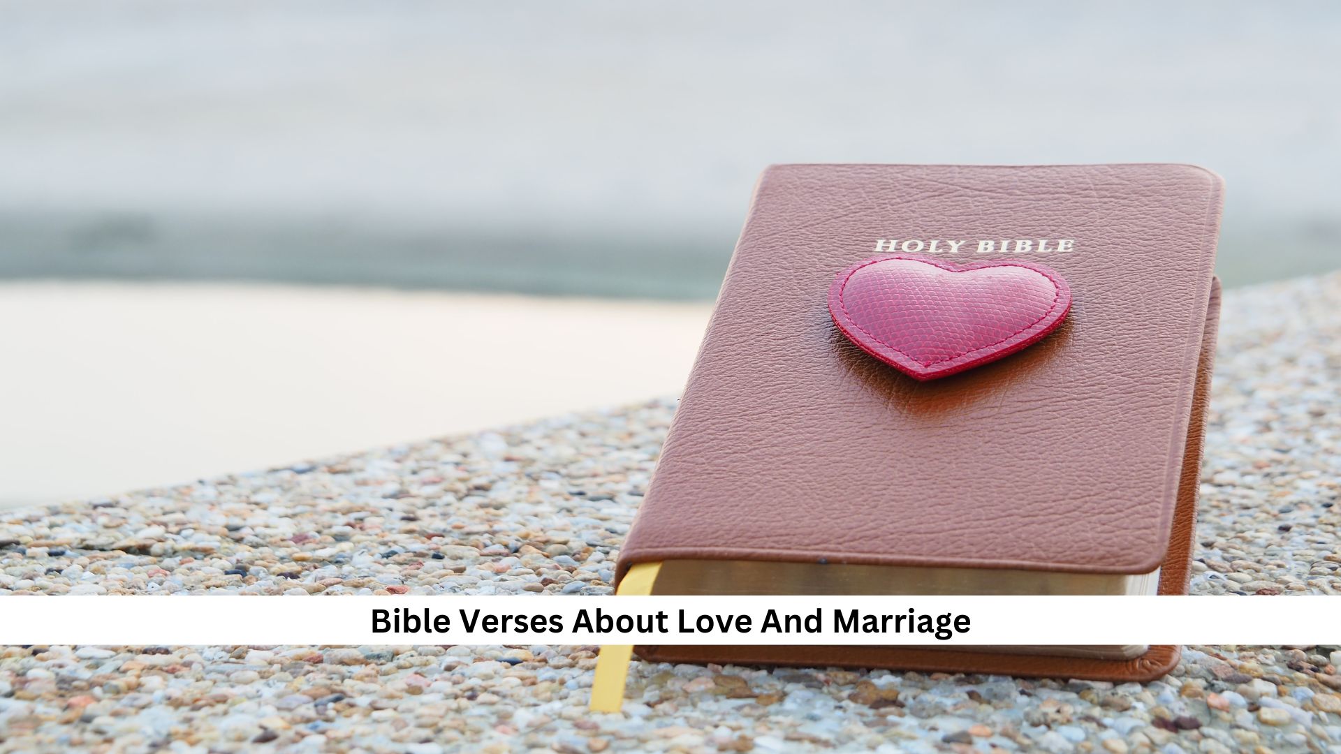 Bible with red heart symbol, highlighting verses on love and marriage, placed on a textured surface near water.